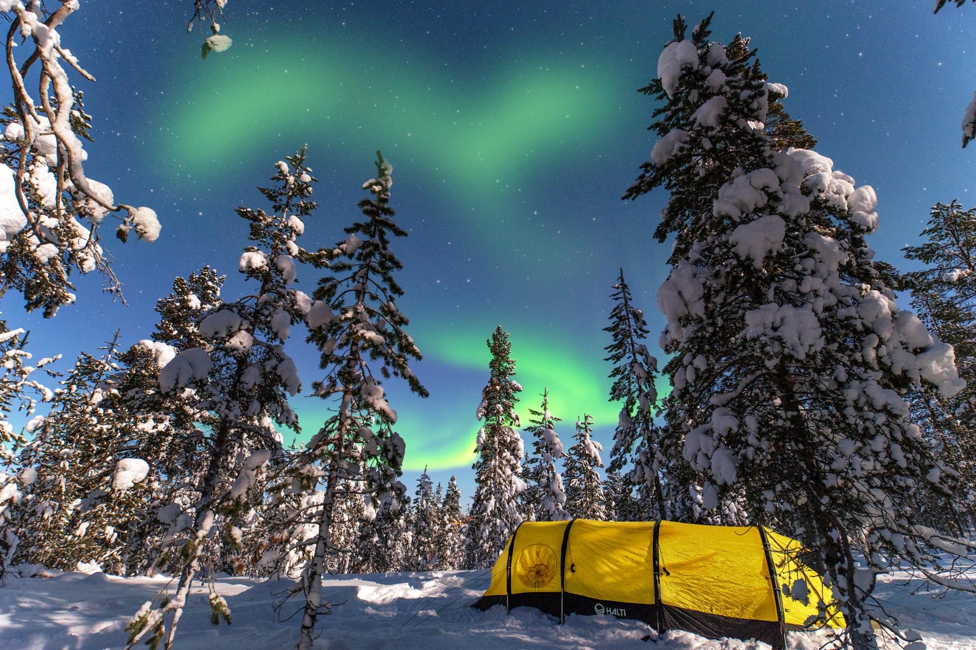 finland, finnish lappland, finnland, snow, tent, tent below aurora, tent in woods, zelt unter nordlchtern, aurora, northern lights,